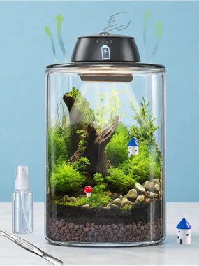 8" Plant Terrarium Kit with Rechargeable Grow Light - Perfect Gift for Mom
